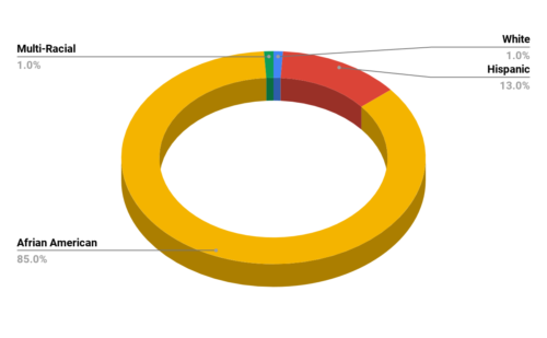 Langdon Elementary School Demographics