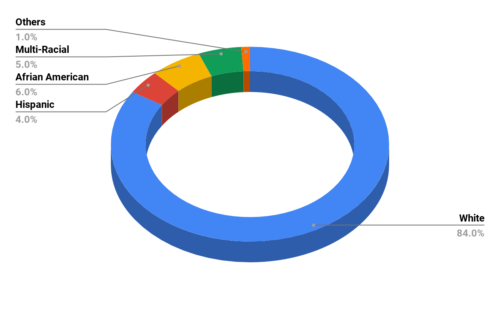 Providence Elementary School Demographics