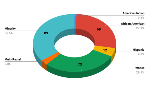 Gibson Elementary School Demographics