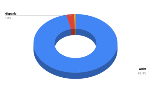 Demographics of winter springs Elementary school